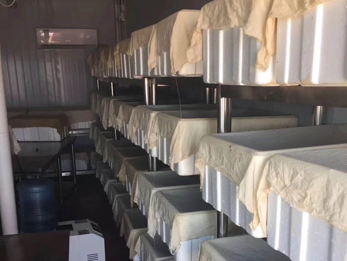 维多利亚老品牌vic制品