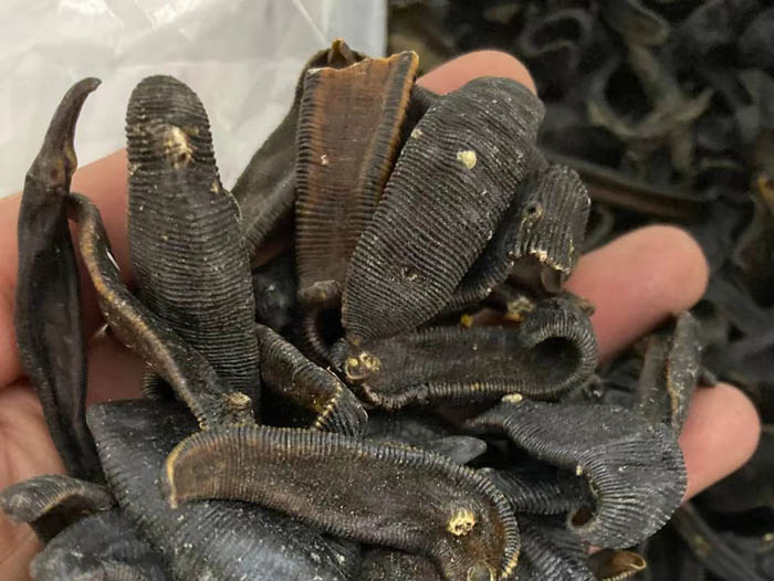 维多利亚老品牌vic制品