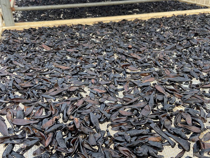 维多利亚老品牌vic制品