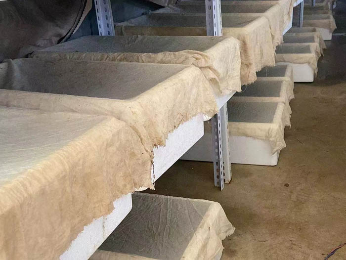 维多利亚老品牌vic卵茧