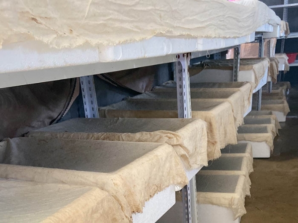 维多利亚老品牌vic制品