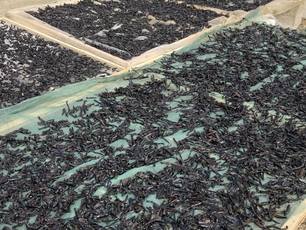 维多利亚老品牌vic制品