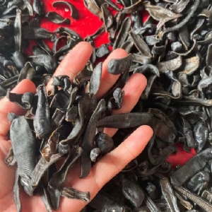 维多利亚老品牌vic制品