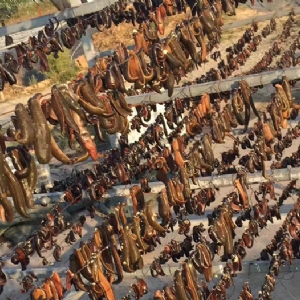 维多利亚老品牌vic制品