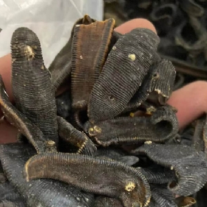 维多利亚老品牌vic制品