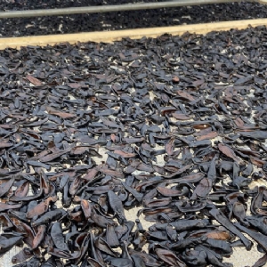 维多利亚老品牌vic制品