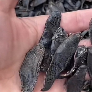 维多利亚老品牌vic制品