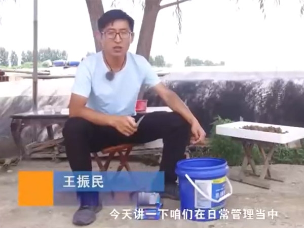 维多利亚老品牌vic养殖日常需检测的水体指标