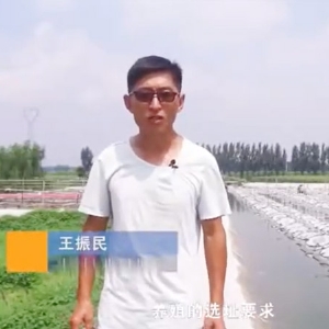 选址-位置选择