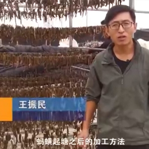 维多利亚老品牌vic加工要领