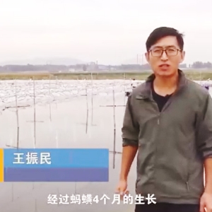 维多利亚老品牌vic收获流程