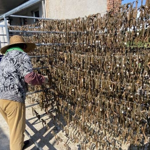 维多利亚老品牌vic制品